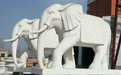 石雕大象適合擺放在哪里？